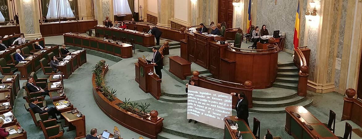 Activitate parlamentară